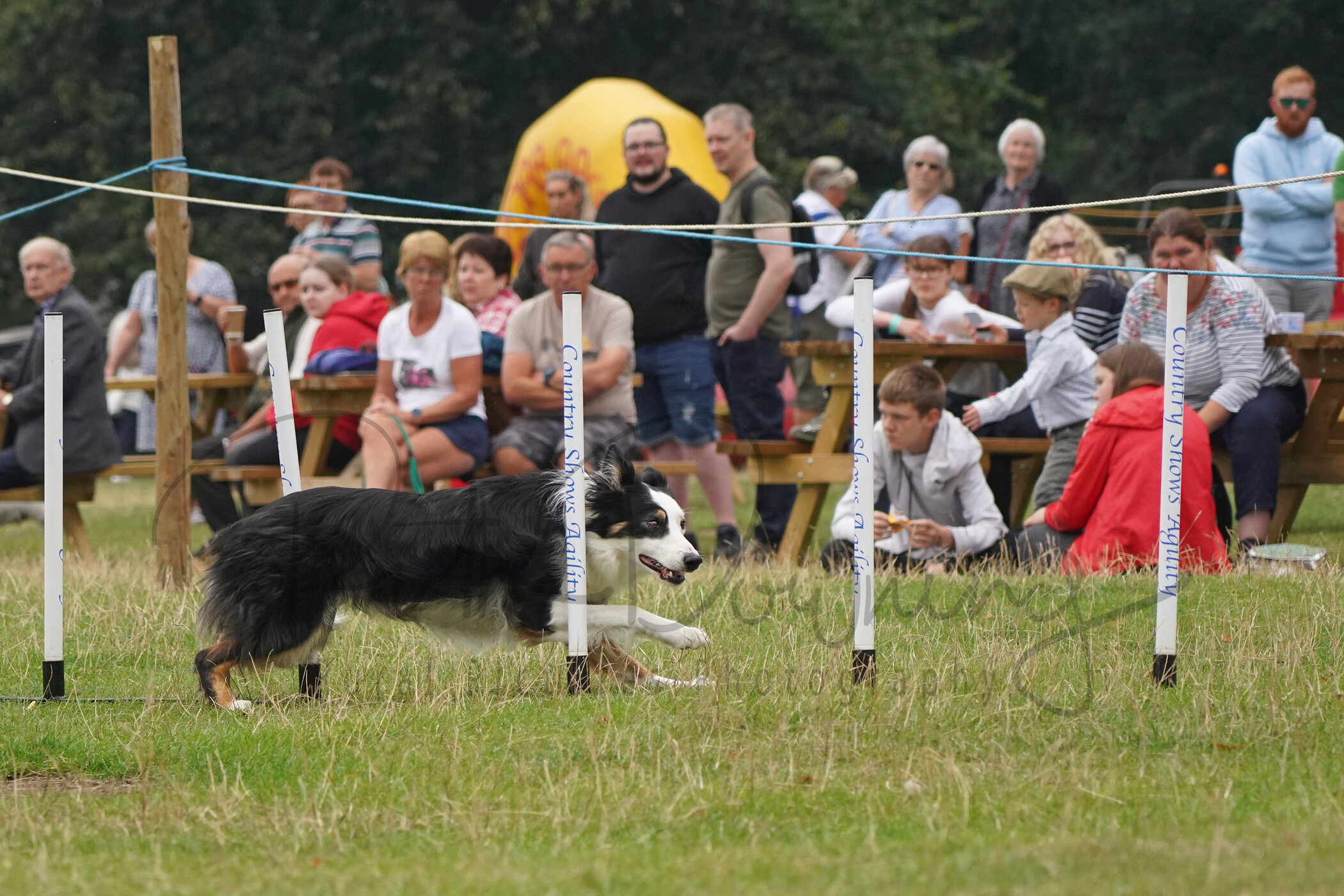 RMD01827 
 Keywords: 2022, Chatsworth, Country Fair, Peak District