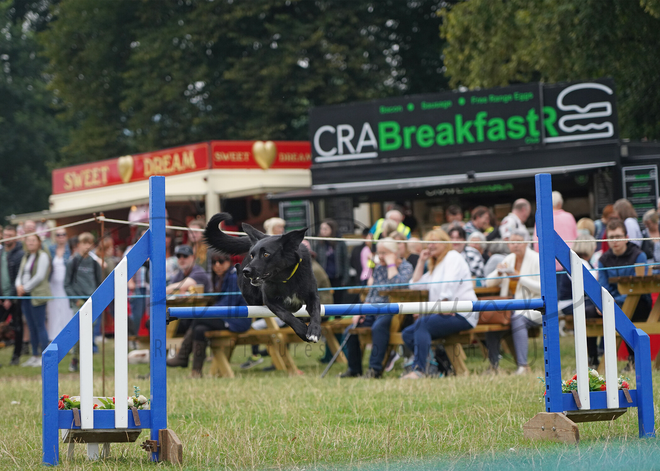 RMD01843 
 Keywords: 2022, Chatsworth, Country Fair, Peak District