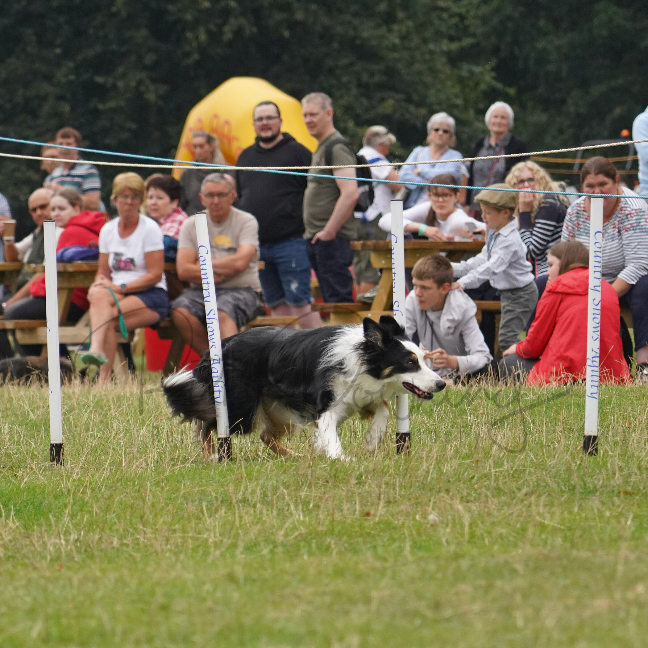 RMD01829 
 Keywords: 2022, Chatsworth, Country Fair, Peak District