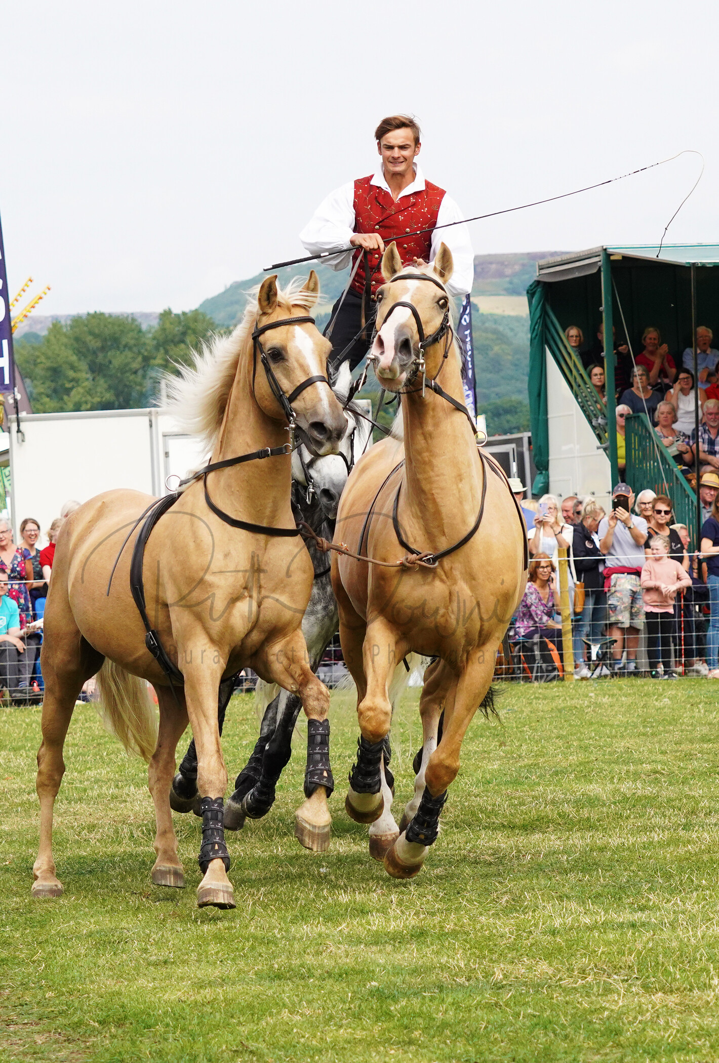 RMD00825 
 Keywords: Chatsworth, 2022, Country Fair, Peak District