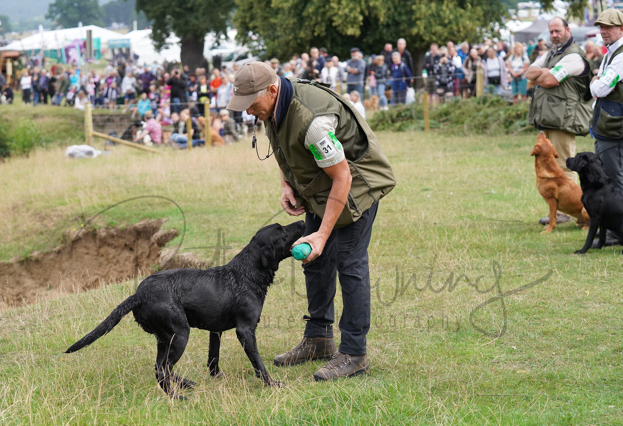 RMD02160 
 Keywords: 2022, Chatsworth, Country Fair, Peak District