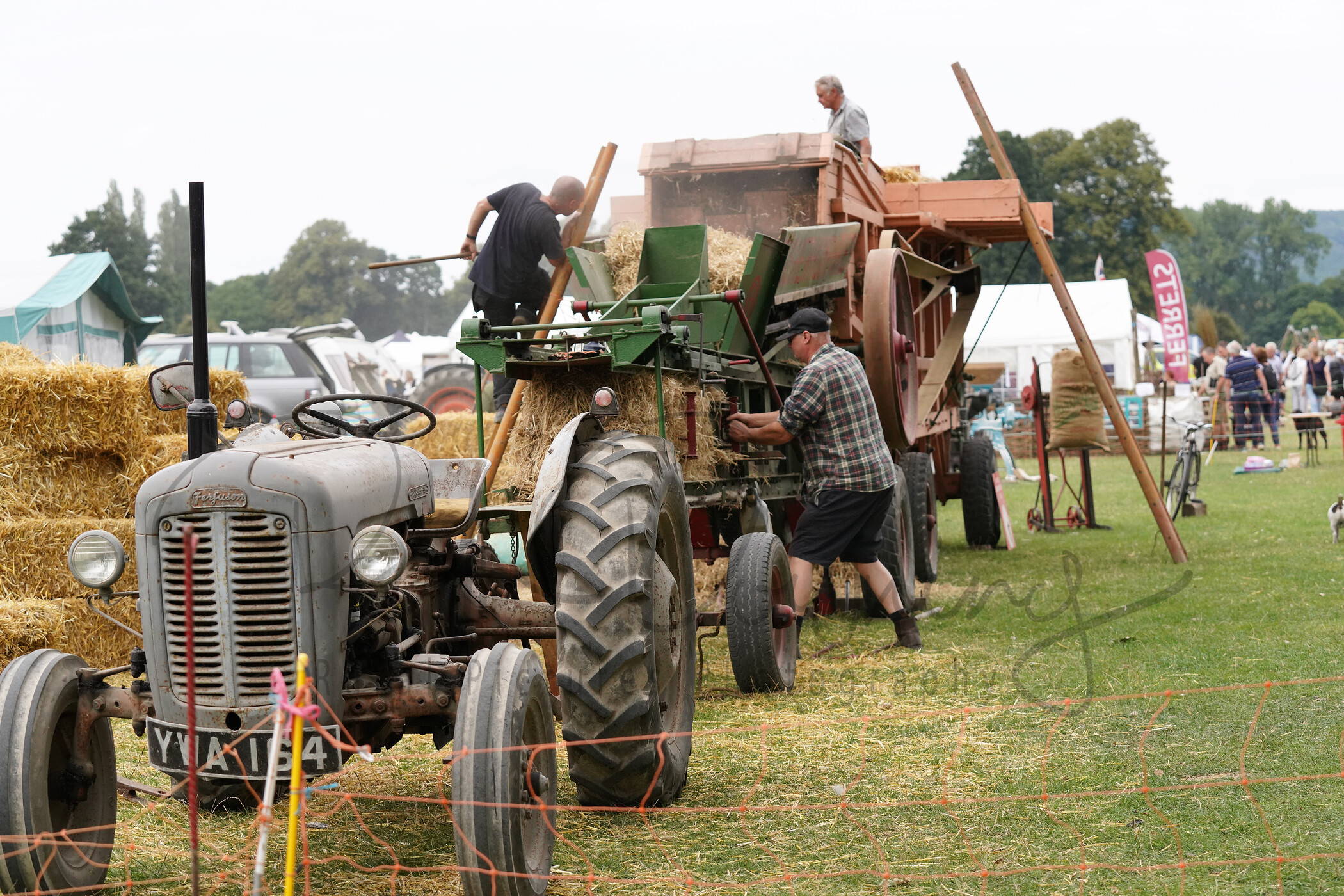 RMD01270 
 Keywords: 2022, Chatsworth, Country Fair, Peak District