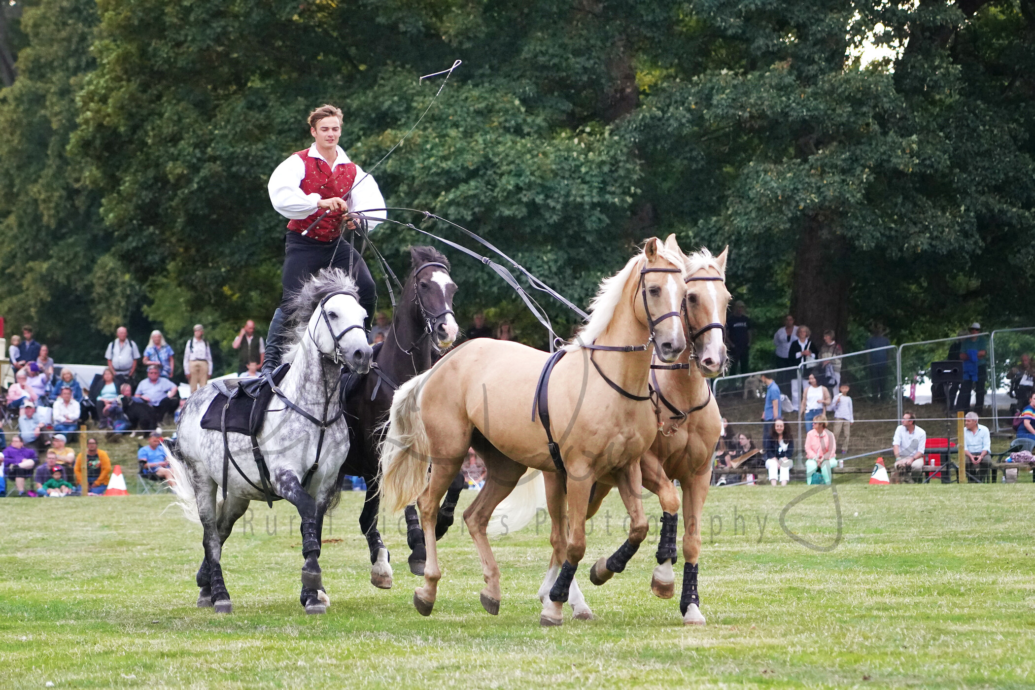 RMD01524 
 Keywords: 2022, Chatsworth, Country Fair, Peak District