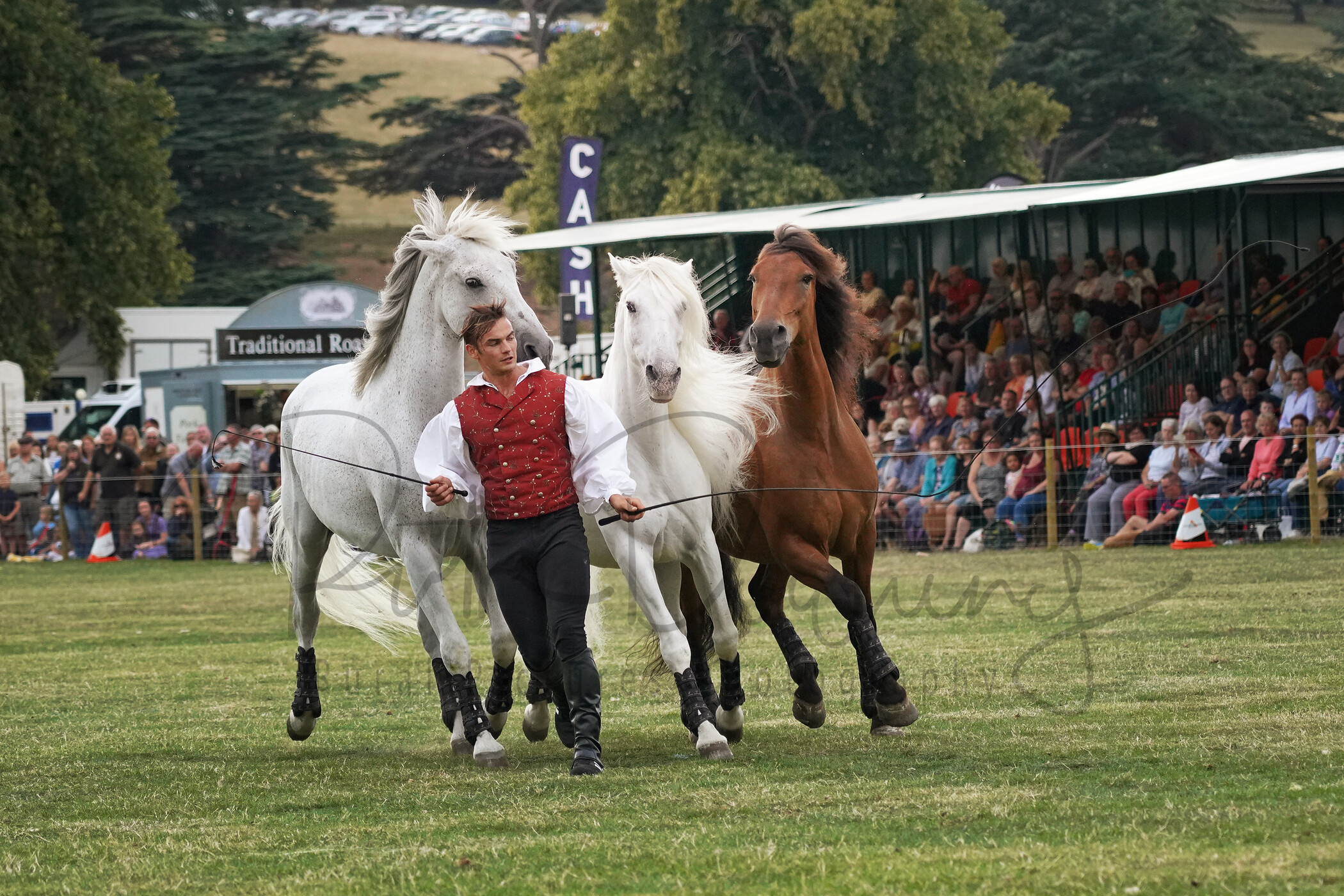 RMD01671 
 Keywords: 2022, Chatsworth, Country Fair, Peak District