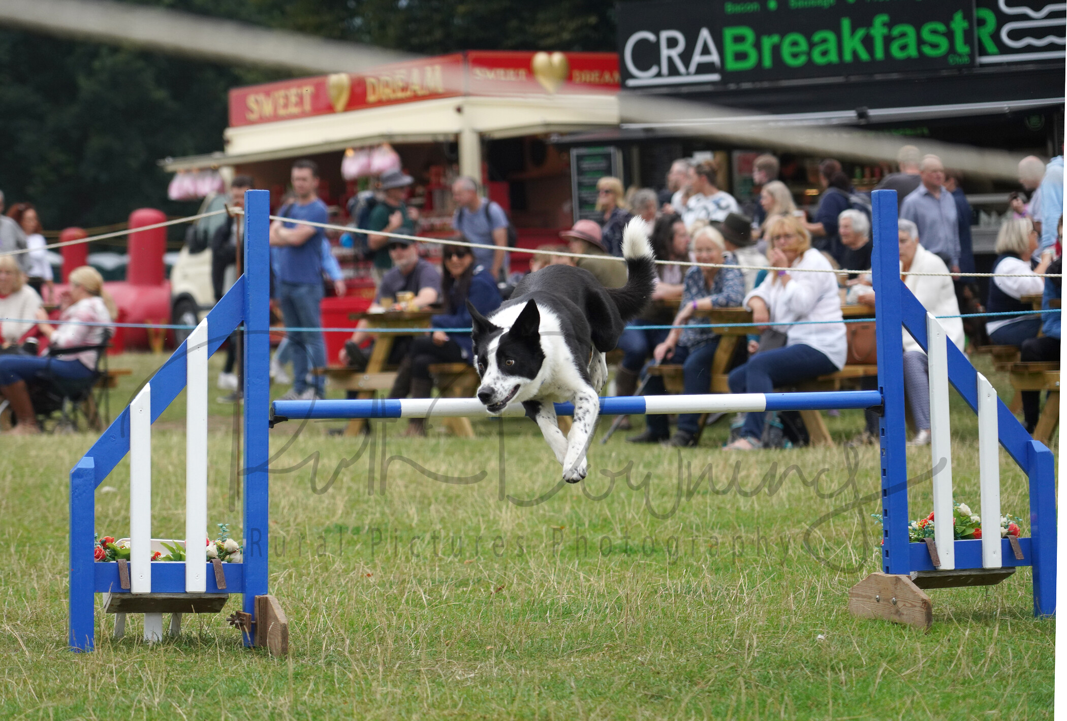 RMD01854 
 Keywords: 2022, Chatsworth, Country Fair, Peak District