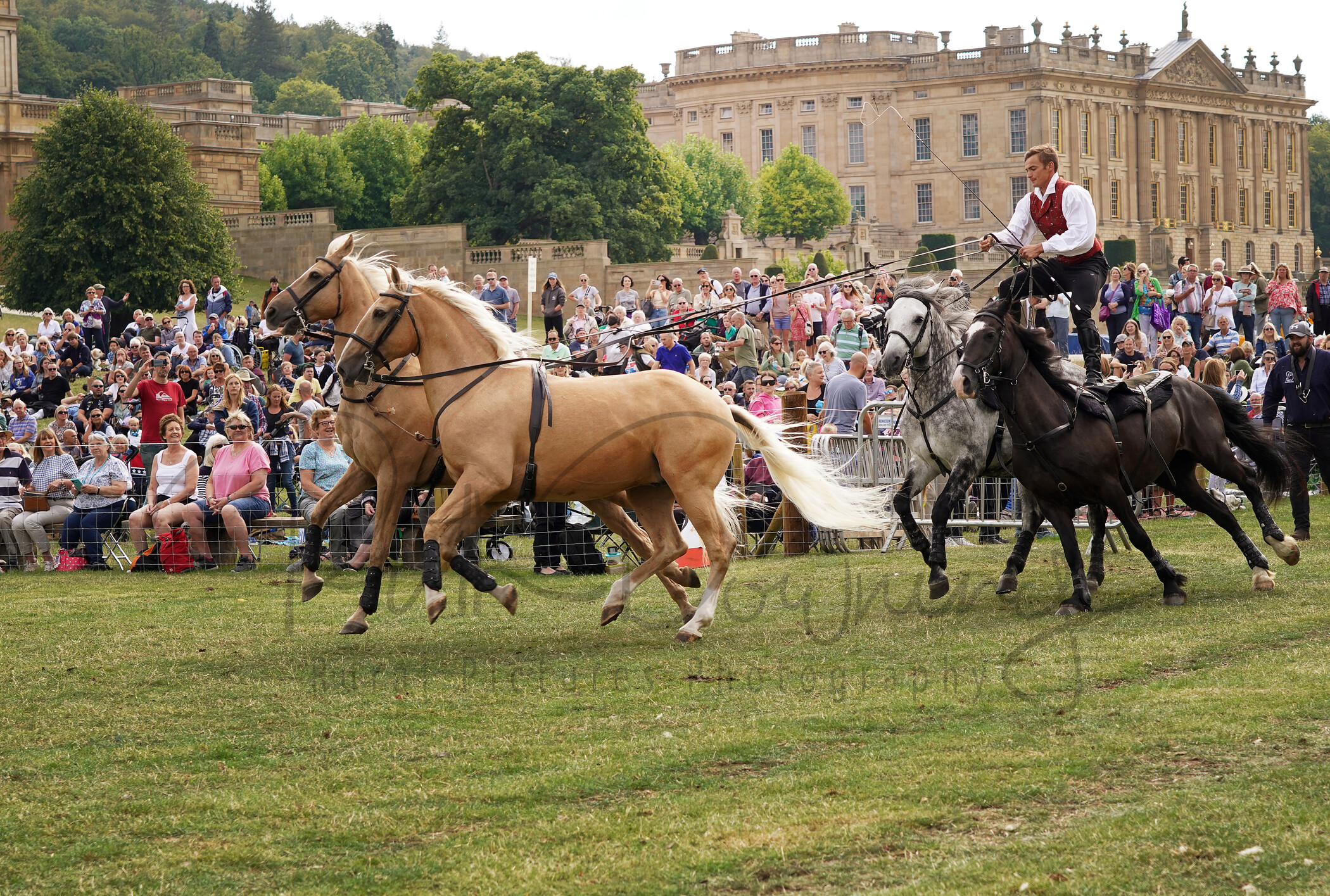 RMD00815 
 Keywords: Chatsworth, 2022, Country Fair, Peak District