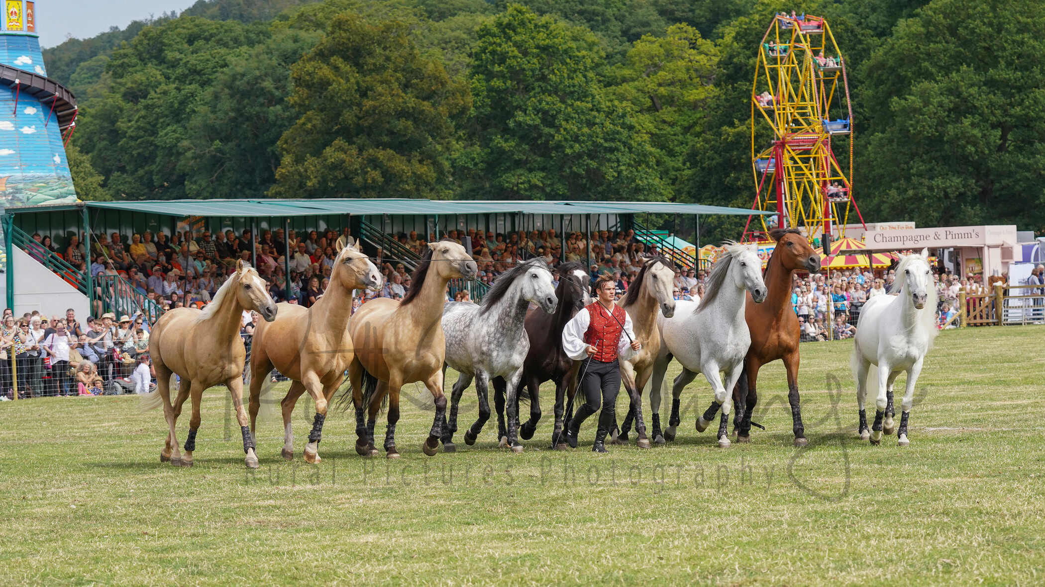 RMD01076 
 Keywords: 2022, Chatsworth, Country Fair, Peak District